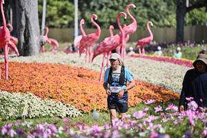 BIB: 
                            <button type="button" onclick="openModal(27793462)" class="btn btn-primary btn-sm float-right btn-popup" data-toggle="modal" data-target=".modal-high-quality">
                        <i class="fas fa-shopping-cart"></i> Add to Cart
                    </button>
                                            <button type="button" onclick="isThisMe(27793462, true)" class="btn btn-success btn-sm float-right btn-popup btn-isme hidden" data-toggle="tooltip" data-placement="bottom" title="นี่คือรูปของคุณใช่ไหม คลิกที่นี่เพื่อเอาเข้าอัลบั้ม">
                        <i class="fas fa-plus"></i> Add to album
                    </button>
                    <button type="button" onclick="isThisMe(27793462, false)" class="btn btn-warning btn-sm float-right btn-popup btn-isnotme hidden">
                        <i class="fas fa-ban"></i> Remove from album
                    </button>